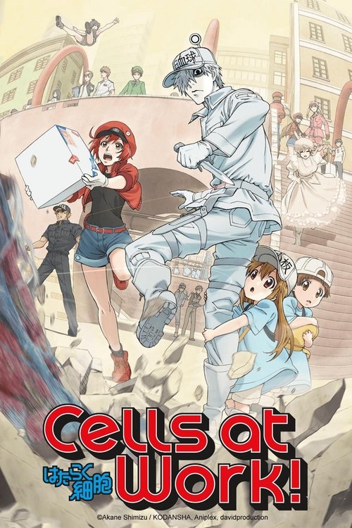 Download Cells at Work! (2018) (Season 1) Multi Audio {Hindi-English-Japanese} WEB-DL || 720p || 1080p || x264 || 10bit Esubs